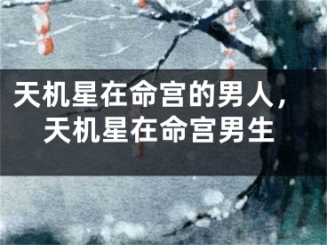 天机星在命宫的男人，天机星在命宫男生