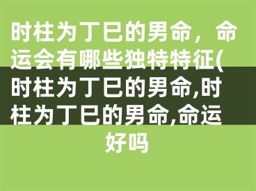 时柱为丁巳的男命，命运会有哪些独特特征(时柱为丁巳的男命,时柱为丁巳的男命,命运好吗