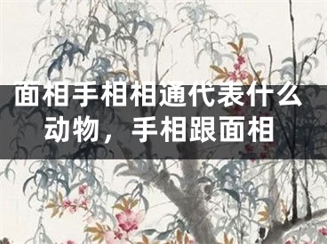 面相手相相通代表什么动物,手相跟面相