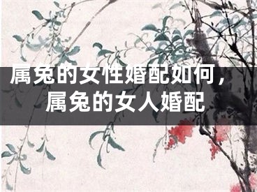 属兔的女性婚配如何，属兔的女人婚配