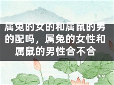 属兔的女的和属鼠的男的配吗，属兔的女性和属鼠的男性合不合
