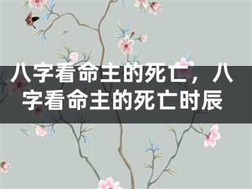 八字看命主的死亡，八字看命主的死亡时辰
