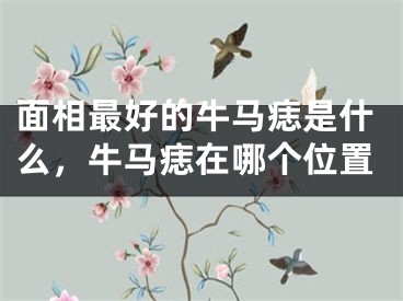 面相最好的牛马痣是什么，牛马痣在哪个位置