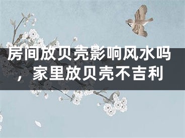 房间放贝壳影响风水吗，家里放贝壳不吉利