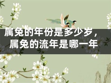 属兔的年份是多少岁，属兔的流年是哪一年