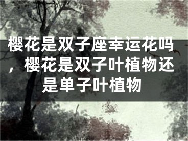 樱花是双子座幸运花吗，樱花是双子叶植物还是单子叶植物