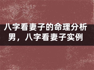 八字看妻子的命理分析男，八字看妻子实例