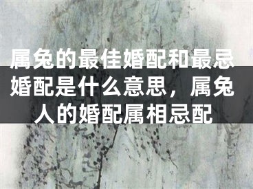 属兔的最佳婚配和最忌婚配是什么意思，属兔人的婚配属相忌配