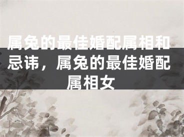 属兔的最佳婚配属相和忌讳，属兔的最佳婚配属相女