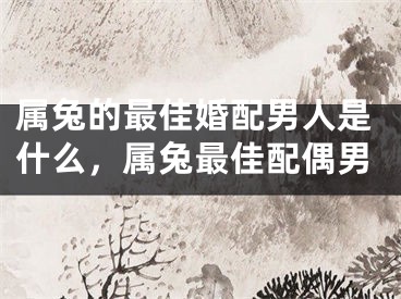 属兔的最佳婚配男人是什么,属兔最佳配偶男