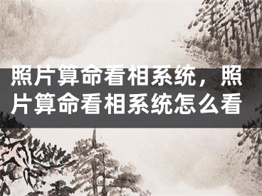 照片算命看相系统，照片算命看相系统怎么看