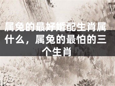 属兔的最好婚配生肖属什么，属兔的最怕的三个生肖
