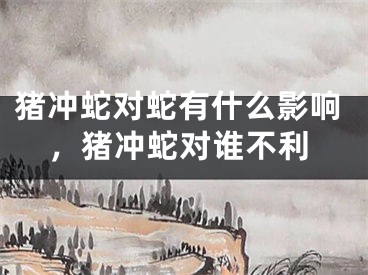 猪冲蛇对蛇有什么影响，猪冲蛇对谁不利