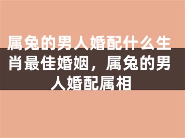 属兔的男人婚配什么生肖最佳婚姻，属兔的男人婚配属相