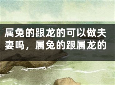 属兔的跟龙的可以做夫妻吗，属兔的跟属龙的