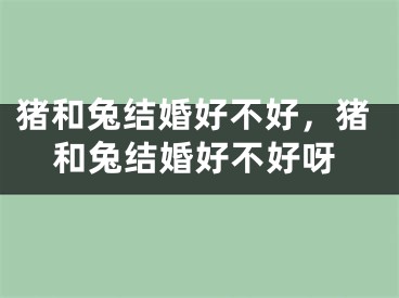 猪和兔结婚好不好，猪和兔结婚好不好呀
