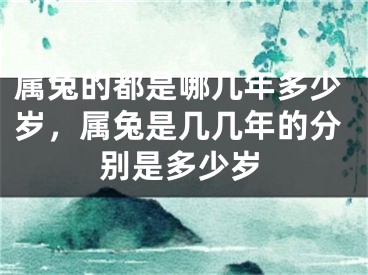 属兔的都是哪几年多少岁，属兔是几几年的分别是多少岁
