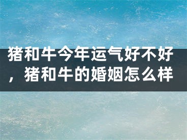 猪和牛今年运气好不好，猪和牛的婚姻怎么样
