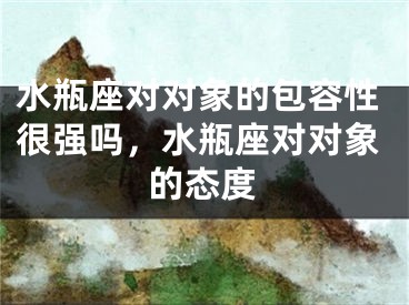水瓶座对对象的包容性很强吗，水瓶座对对象的态度