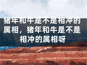 猪年和牛是不是相冲的属相，猪年和牛是不是相冲的属相呀