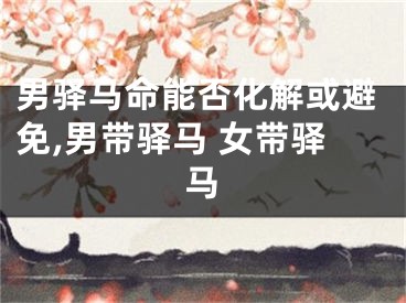 男驿马命能否化解或避免,男带驿马 女带驿马