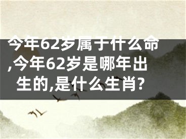 今年62岁属于什么命,今年62岁是哪年出生的,是什么生肖?