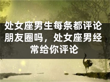 处女座男生每条都评论朋友圈吗，处女座男经常给你评论