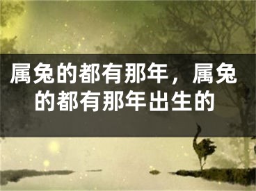属兔的都有那年，属兔的都有那年出生的