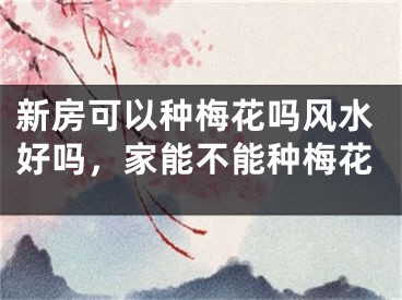 新房可以种梅花吗风水好吗，家能不能种梅花