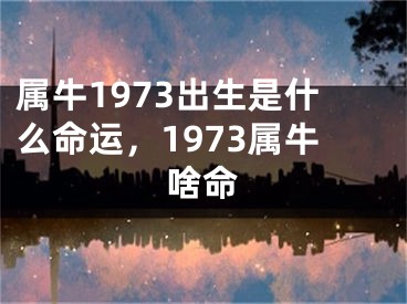 属牛1973出生是什么命运，1973属牛啥命