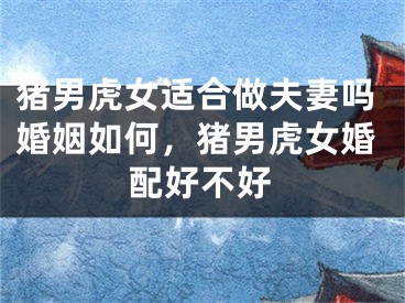 猪男虎女适合做夫妻吗婚姻如何，猪男虎女婚配好不好