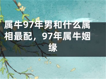 属牛97年男和什么属相最配，97年属牛姻缘