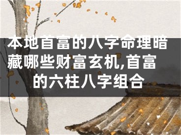 本地首富的八字命理暗藏哪些财富玄机,首富的六柱八字组合