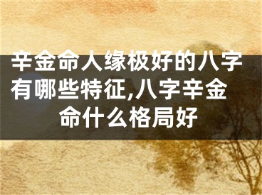 辛金命人缘极好的八字有哪些特征,八字辛金命什么格局好