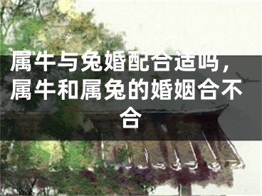 属牛与兔婚配合适吗，属牛和属兔的婚姻合不合