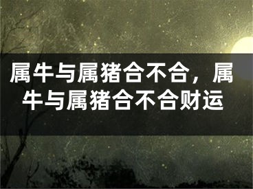 属牛与属猪合不合，属牛与属猪合不合财运
