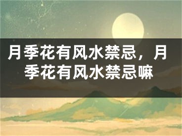 月季花有风水禁忌，月季花有风水禁忌嘛