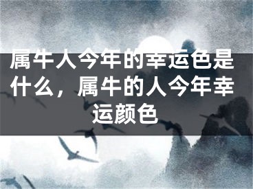 属牛人今年的幸运色是什么，属牛的人今年幸运颜色