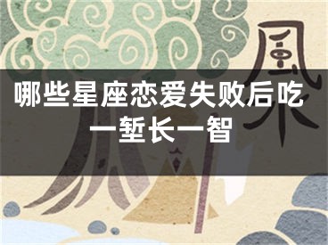 哪些星座恋爱失败后吃一堑长一智
