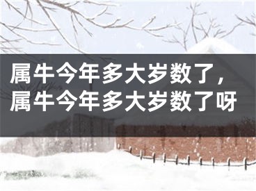 属牛今年多大岁数了，属牛今年多大岁数了呀