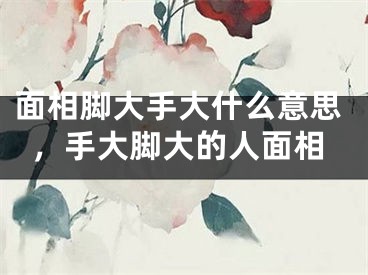 面相脚大手大什么意思，手大脚大的人面相