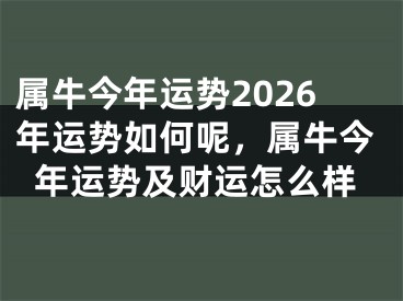 属牛今年运势2026年运势如何呢，属牛今年运势及财运怎么样