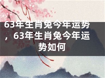63年生肖兔今年运势，63年生肖兔今年运势如何
