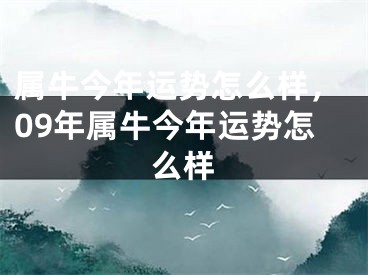 属牛今年运势怎么样，09年属牛今年运势怎么样