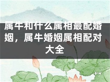 属牛和什么属相最配婚姻，属牛婚姻属相配对大全