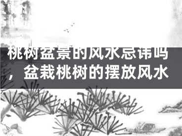 桃树盆景的风水忌讳吗，盆栽桃树的摆放风水