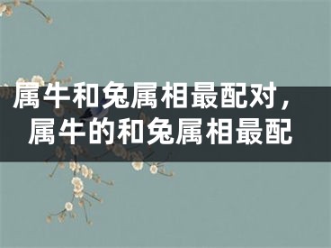 属牛和兔属相最配对，属牛的和兔属相最配