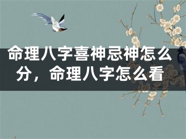 命理八字喜神忌神怎么分,命理八字怎么看