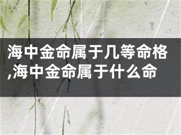 海中金命属于几等命格,海中金命属于什么命