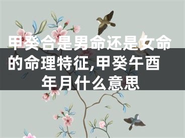 甲癸合是男命还是女命的命理特征,甲癸午酉年月什么意思